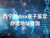 西宁做dna亲子鉴定办理地址查询