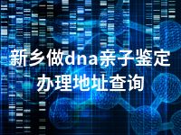 新乡做dna亲子鉴定办理地址查询