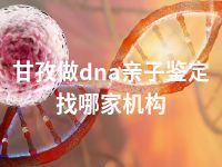 甘孜做dna亲子鉴定找哪家机构