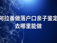 阿拉善做落户口亲子鉴定去哪里能做