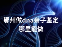 鄂州做dna亲子鉴定哪里能做