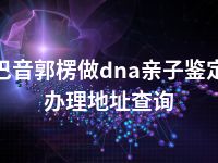 巴音郭楞做dna亲子鉴定办理地址查询