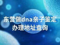 东营做dna亲子鉴定办理地址查询