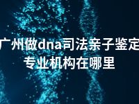 广州做dna司法亲子鉴定专业机构在哪里