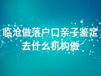 临沧做落户口亲子鉴定去什么机构做