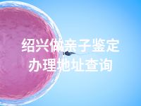 绍兴做亲子鉴定办理地址查询