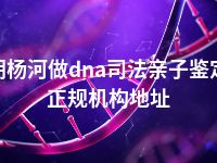 胡杨河做dna司法亲子鉴定正规机构地址