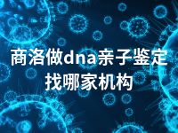 商洛做dna亲子鉴定找哪家机构