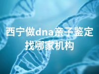 西宁做dna亲子鉴定找哪家机构