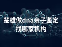 楚雄做dna亲子鉴定找哪家机构