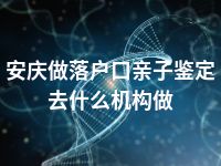 安庆做落户口亲子鉴定去什么机构做