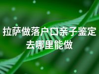 拉萨做落户口亲子鉴定去哪里能做