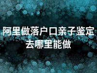 阿里做落户口亲子鉴定去哪里能做