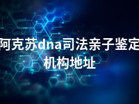 阿克苏dna司法亲子鉴定机构地址