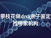 攀枝花做dna亲子鉴定找哪家机构