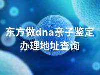 东方做dna亲子鉴定办理地址查询