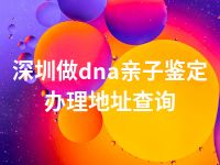 深圳做dna亲子鉴定办理地址查询