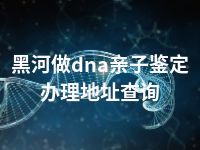 黑河做dna亲子鉴定办理地址查询