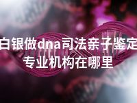 白银做dna司法亲子鉴定专业机构在哪里