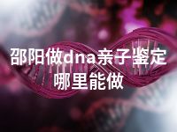 邵阳做dna亲子鉴定哪里能做