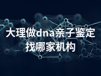 大理做dna亲子鉴定找哪家机构