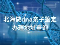 北海做dna亲子鉴定办理地址查询