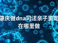 肇庆做dna司法亲子鉴定在哪里做