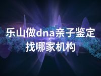 乐山做dna亲子鉴定找哪家机构