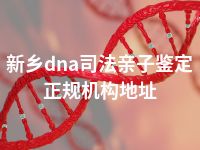 新乡dna司法亲子鉴定正规机构地址