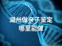 湖州做亲子鉴定哪里能做