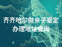 齐齐哈尔做亲子鉴定办理地址查询