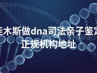 佳木斯做dna司法亲子鉴定正规机构地址