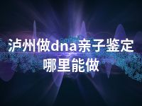 泸州做dna亲子鉴定哪里能做