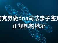 阿克苏做dna司法亲子鉴定正规机构地址