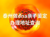 泰州做dna亲子鉴定办理地址查询