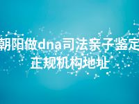 朝阳做dna司法亲子鉴定正规机构地址