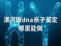 漯河做dna亲子鉴定哪里能做