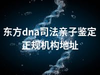 东方dna司法亲子鉴定正规机构地址