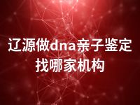 辽源做dna亲子鉴定找哪家机构