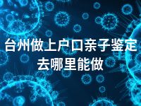 台州做上户口亲子鉴定去哪里能做