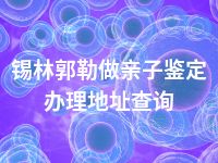 锡林郭勒做亲子鉴定办理地址查询