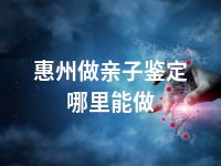 惠州做亲子鉴定哪里能做