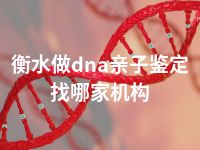 衡水做dna亲子鉴定找哪家机构