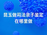 昆玉做司法亲子鉴定在哪里做