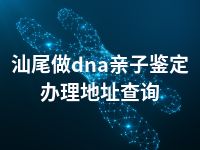 汕尾做dna亲子鉴定办理地址查询