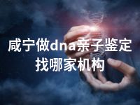 咸宁做dna亲子鉴定找哪家机构