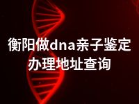 衡阳做dna亲子鉴定办理地址查询