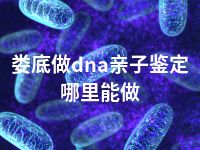 娄底做dna亲子鉴定哪里能做