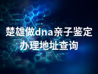 楚雄做dna亲子鉴定办理地址查询