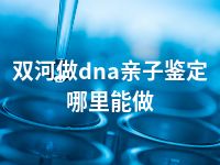 双河做dna亲子鉴定哪里能做